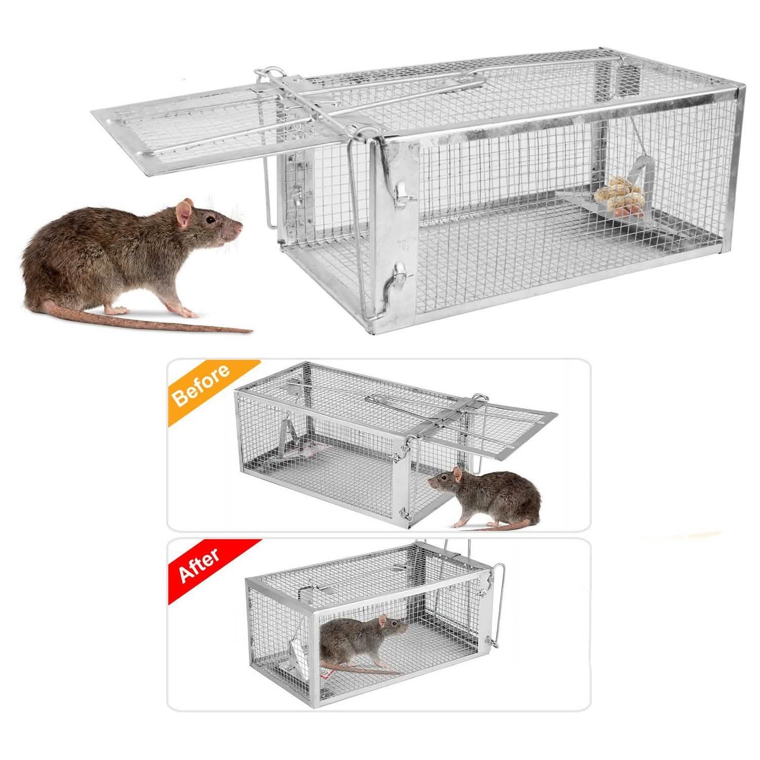Rat Trap Cage Humane Live Rodent by DailySale