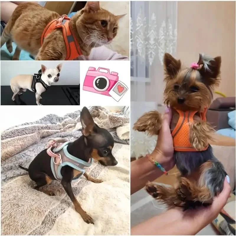 Reflective Dogs Harness with Leash Adjustable Harness Vest Breathable Collars by DailySale