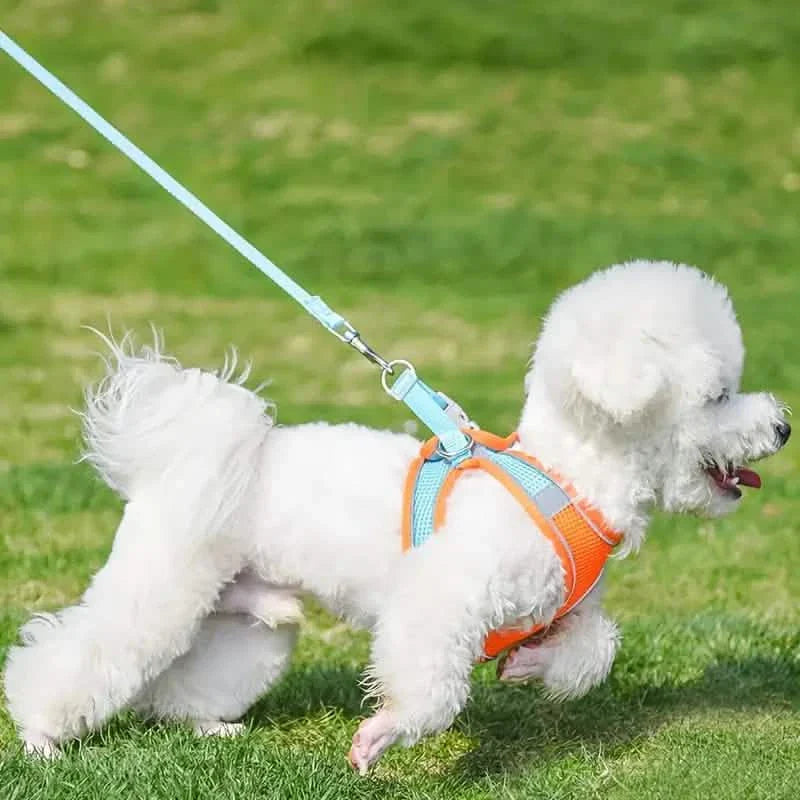 Reflective Dogs Harness with Leash Adjustable Harness Vest Breathable Collars by DailySale