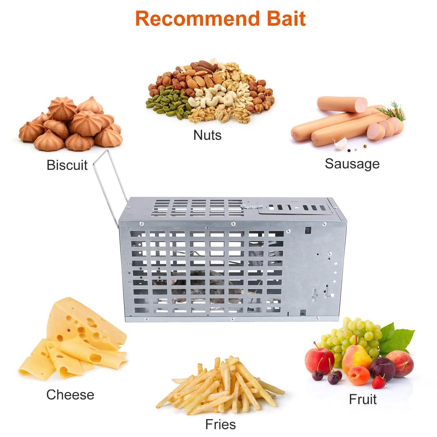 Reusable Metal Rat Cage Catch Release Continuous Capture by DailySale