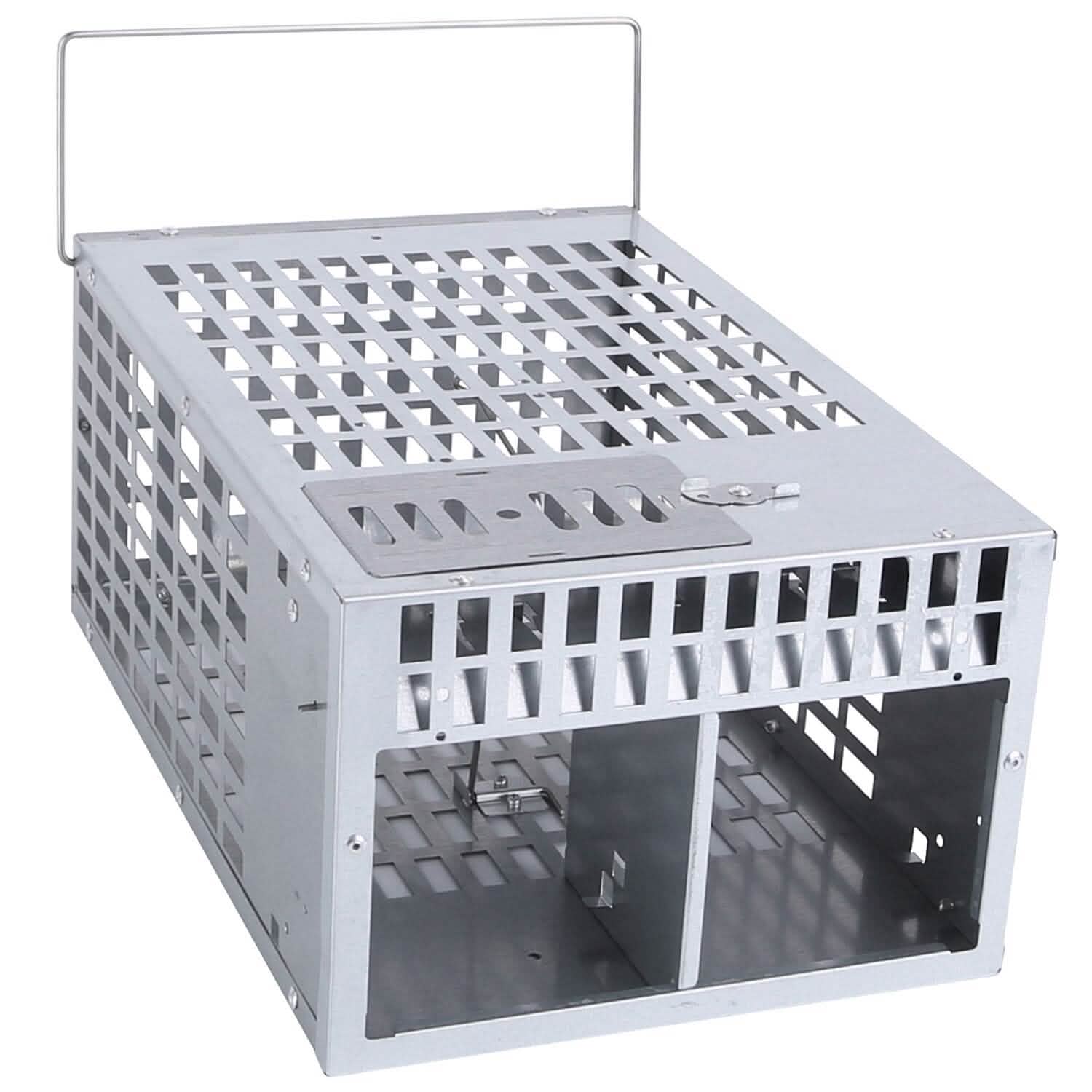 Reusable Metal Rat Cage Catch Release Continuous Capture by DailySale