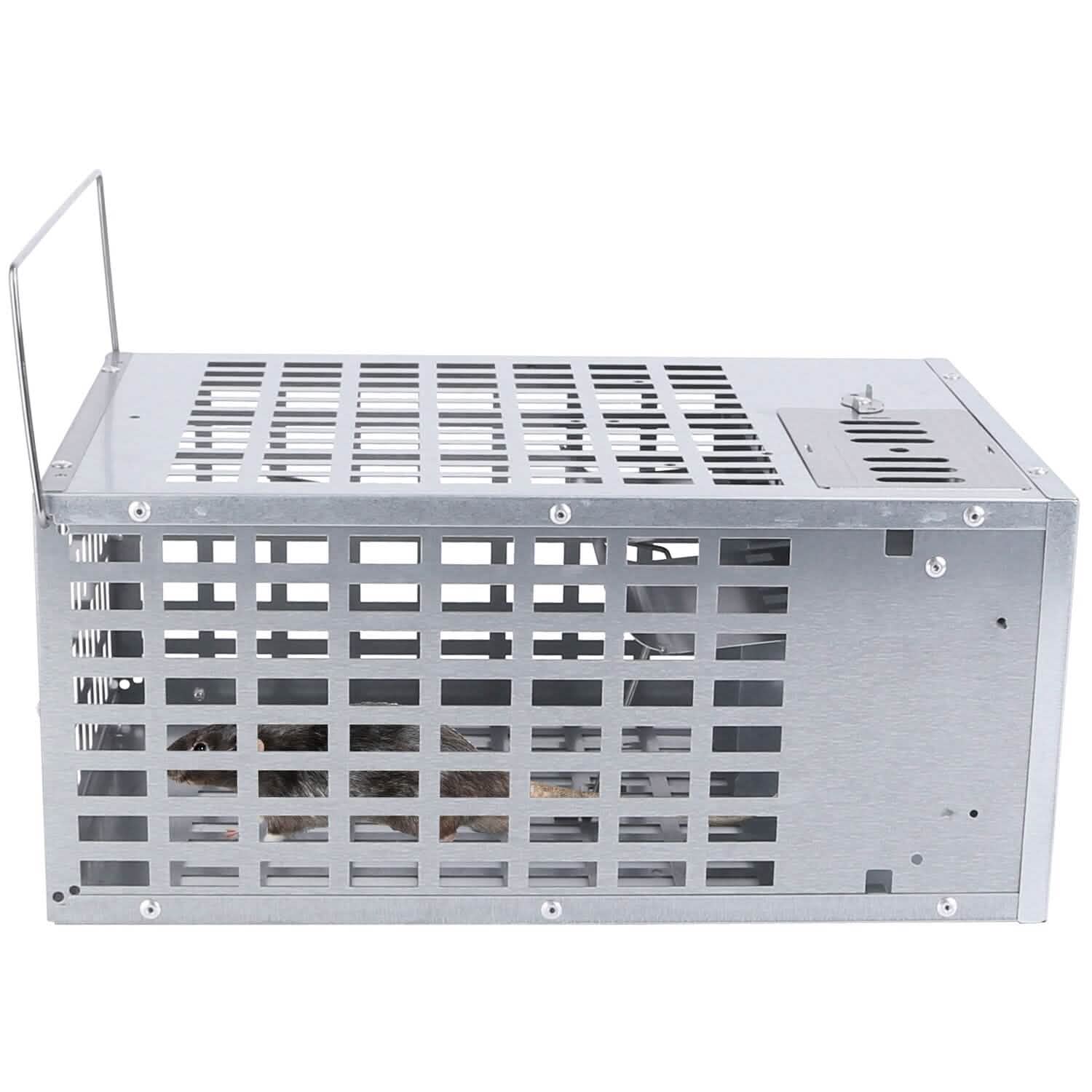 Reusable Metal Rat Cage Catch Release Continuous Capture by DailySale