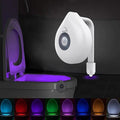 Smart PIR Motion Sensor Toilet Seat Night Light by DailySale