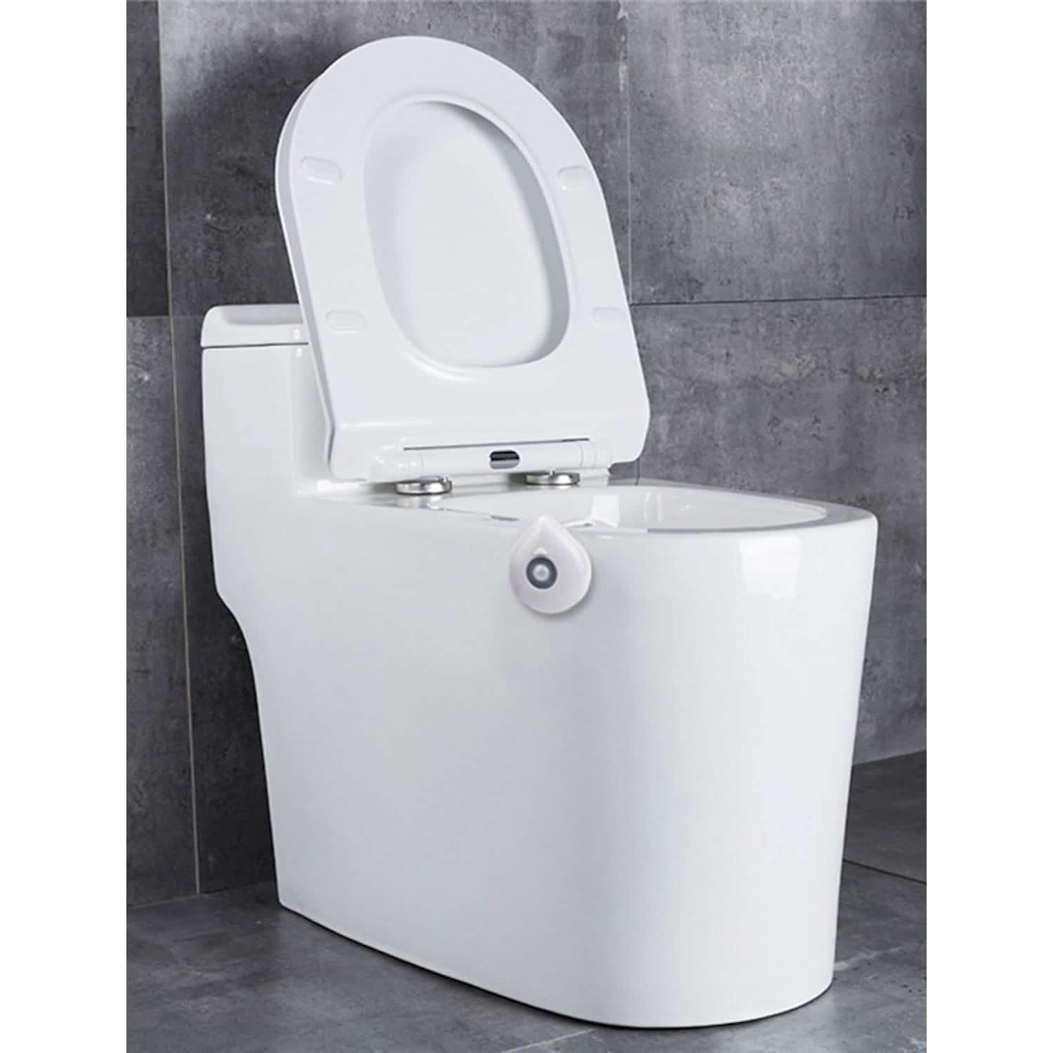 Smart PIR Motion Sensor Toilet Seat Night Light by DailySale