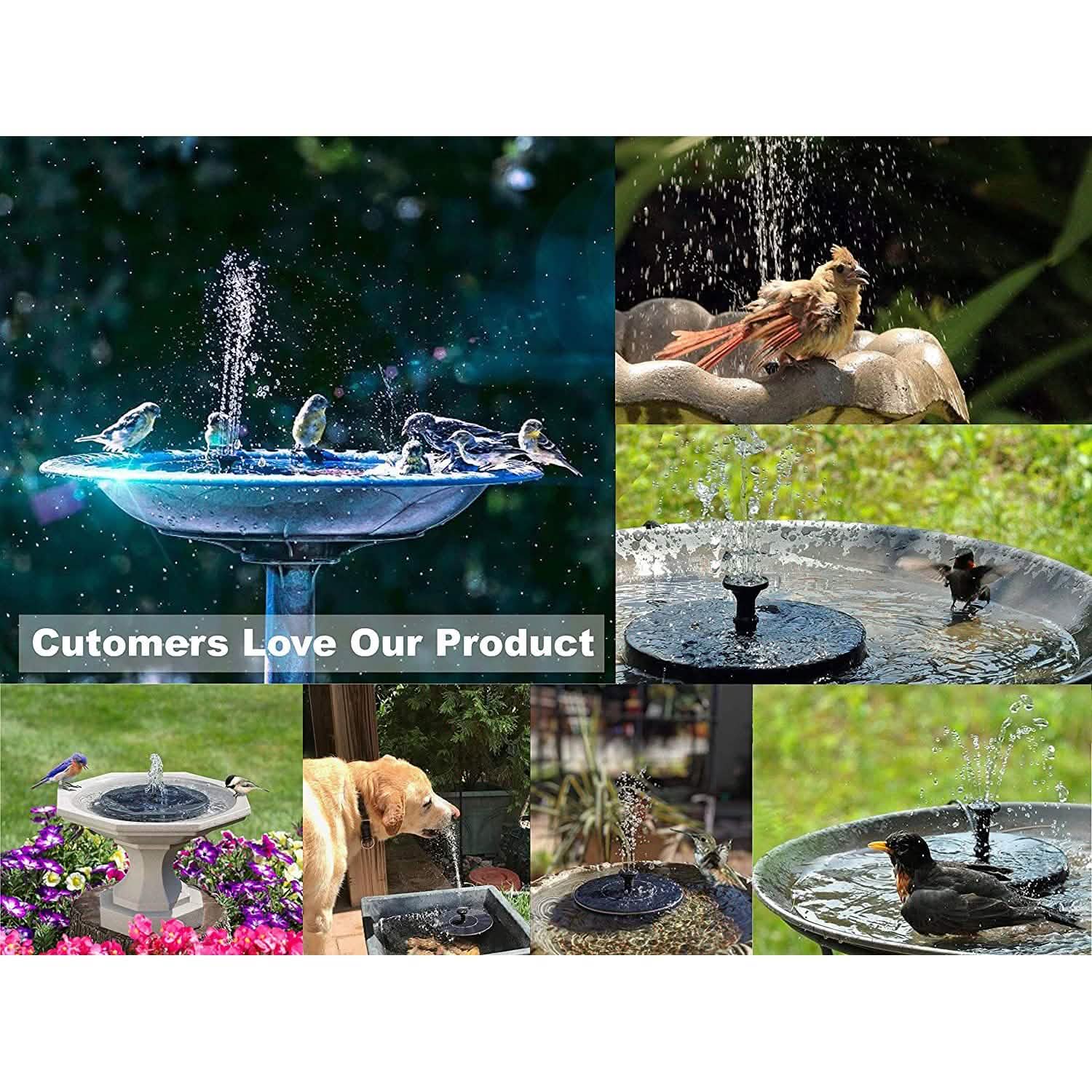 Solatec Solar Fountain by DailySale