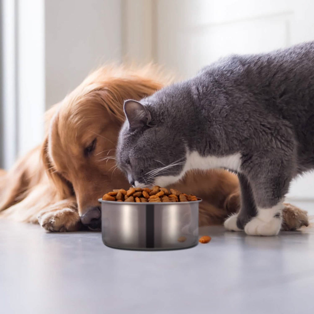 Stainless Steel Dog Pet Bowl by DailySale