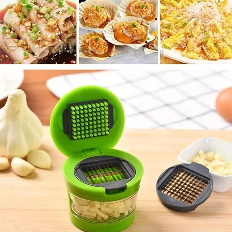 Stainless Steel Garlic Presses Manual Garlic Mincer by DailySale