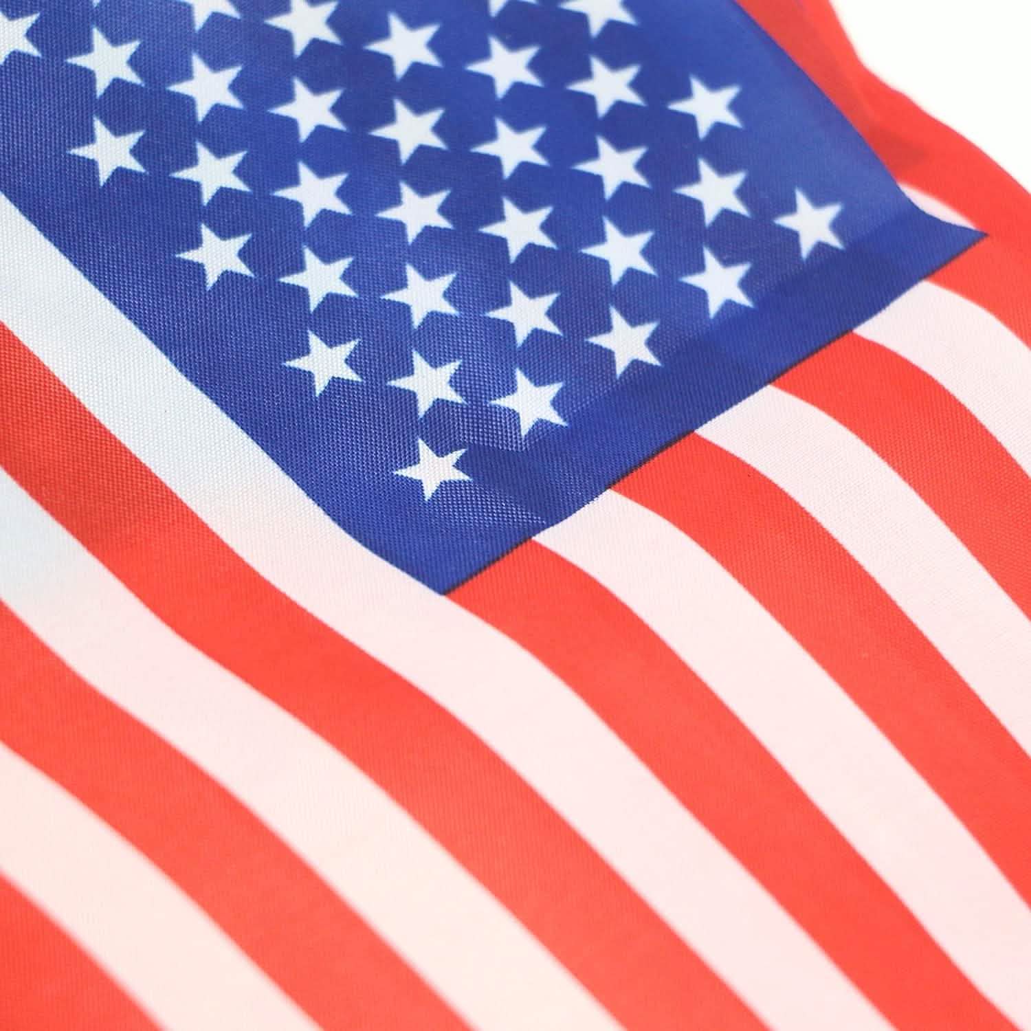 USA American String Pennant Banners by DailySale