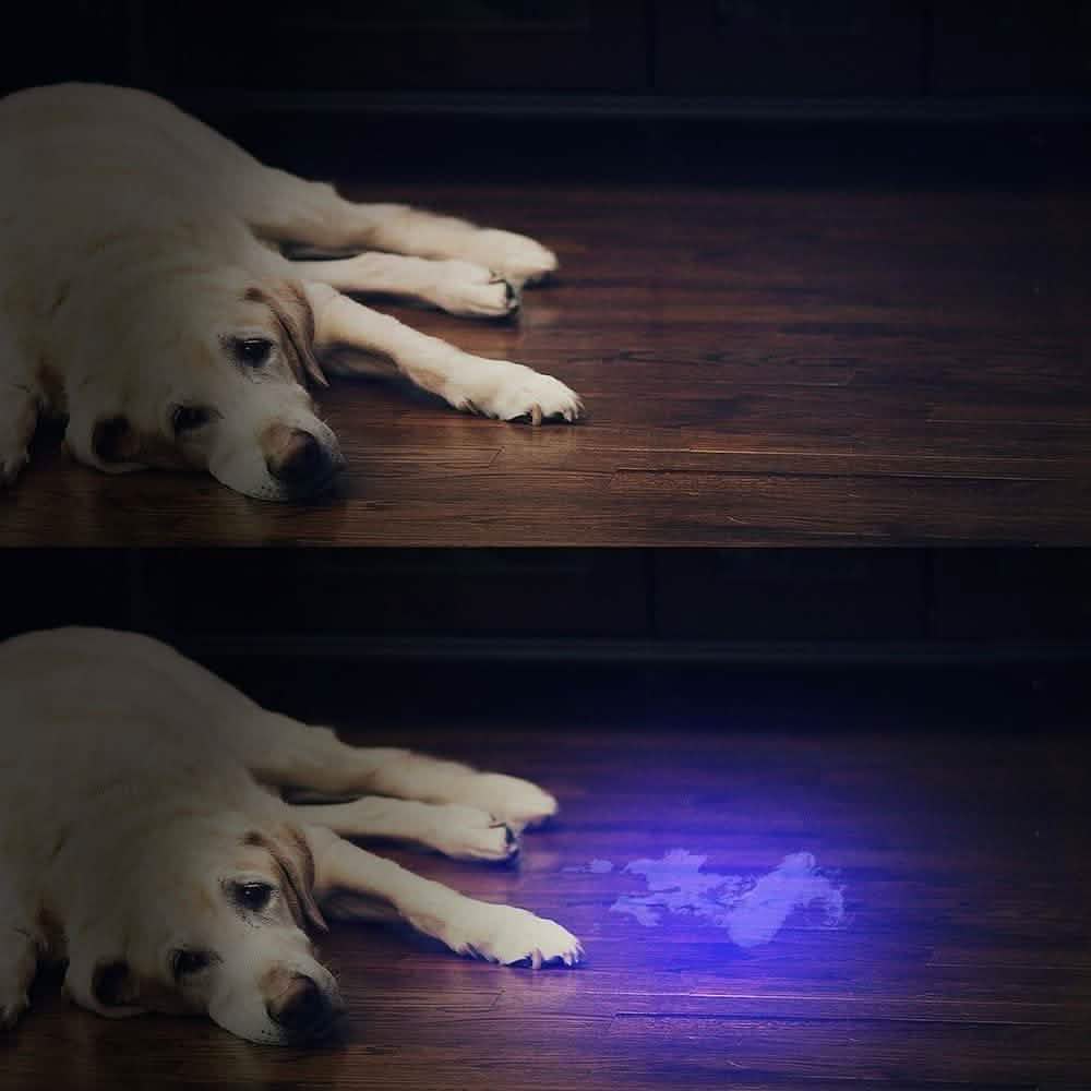 UV Flashlight Black Light by DailySale