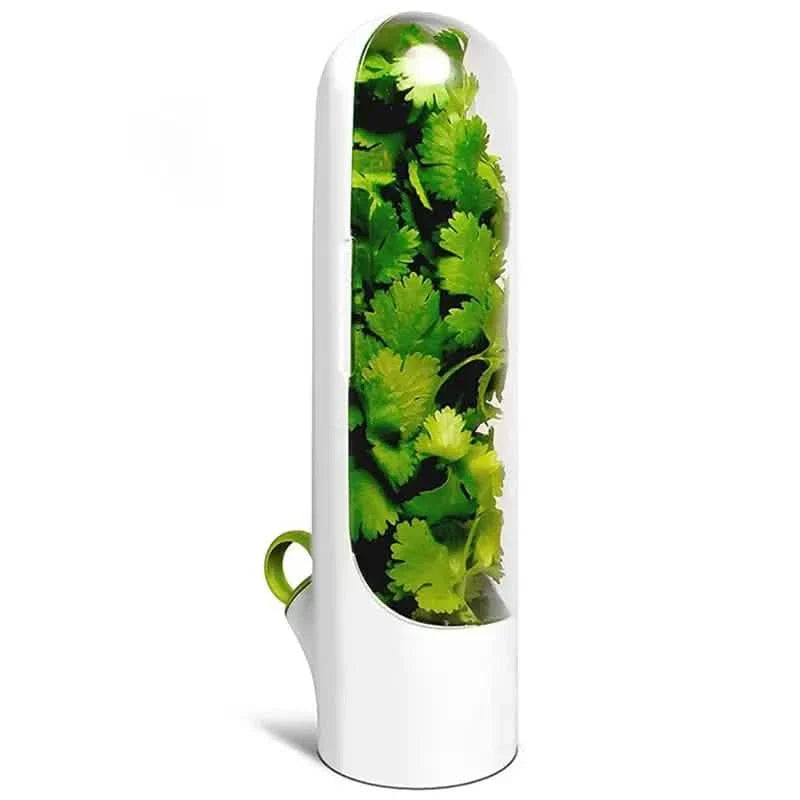 Vegetable Preserving Bottle for Freshest Produce by DailySale