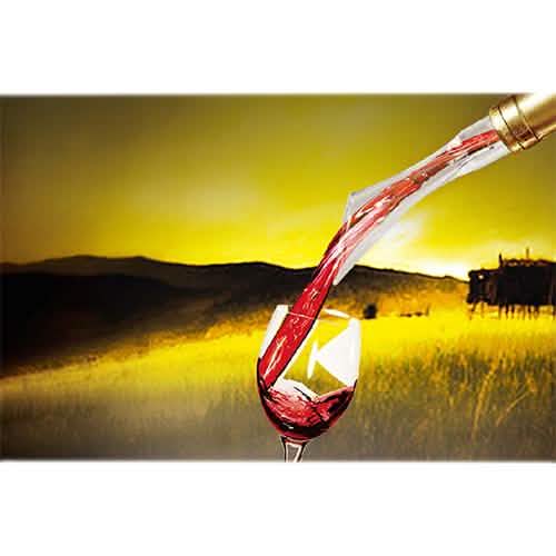Vino Air Wine Aerator by DailySale